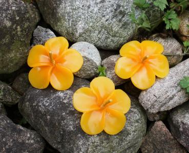 Schwimmkerzen Blüten orange 3er Set